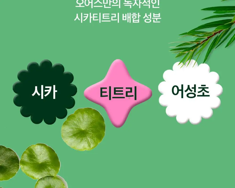 [급속쿨링진정 / 모공쪼임] 오어스 쿨 시카 티트리 모델링 팩 풀패키지 상세페이지 22